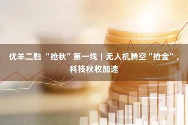 优羊二融 “抢秋”第一线丨无人机腾空“抢金”，科技秋收加速