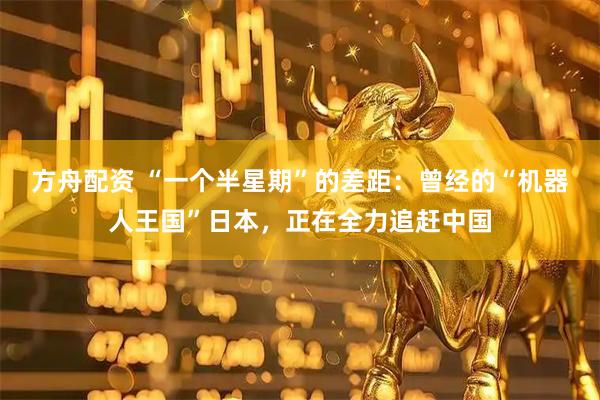 方舟配资 “一个半星期”的差距：曾经的“机器人王国”日本，正在全力追赶中国